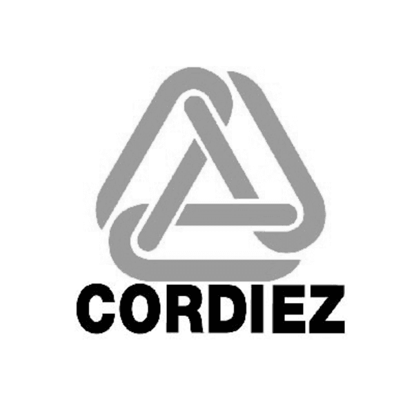 Gabriel Saint, Locutor